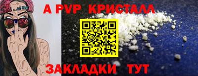 спиды Бийск