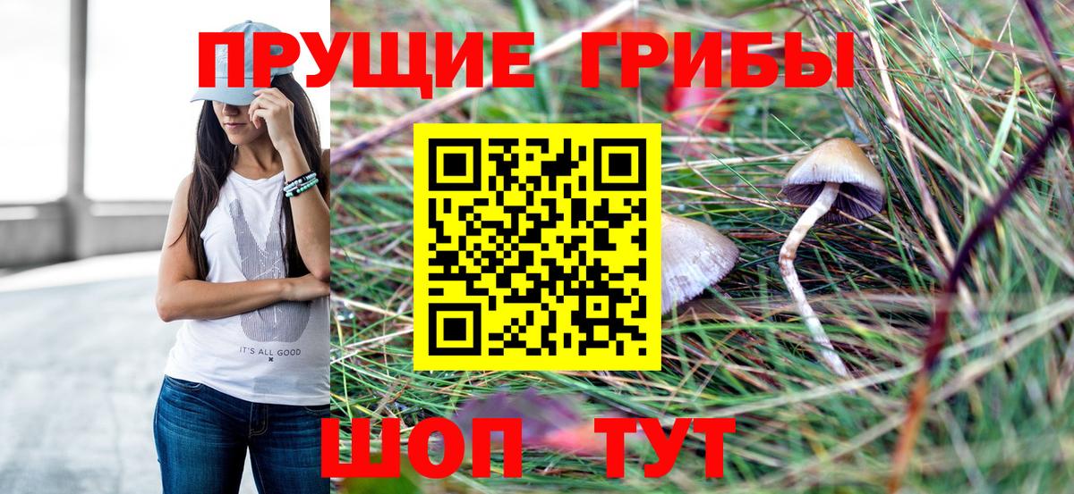 Галлюциногенные грибы MAGIC MUSHROOMS  Вход с VPN  Псилоцибиновые грибы ЛСД  Кашира 